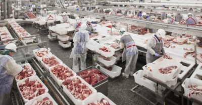 50.000 tấn thịt heo sẽ nhập vào Việt Nam bù trừ cho thời gian phải “thắt lưng buộc bụng”