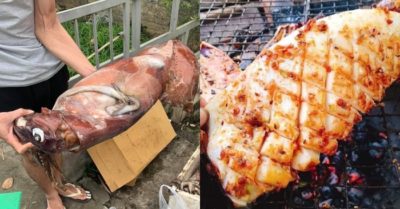 Mực “khổng lồ” bán giá rẻ đang gây sốt khắp chợ online