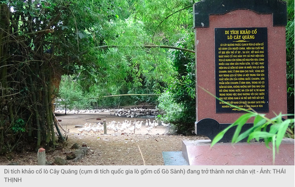 Di tích quốc gia thành… nơi chăn vịt vì chưa thoả thuận ổn trong quản lý