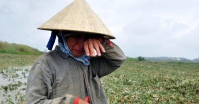 Phải chăng tất cả chúng ta đang nợ nông dân lời xin lỗi và lòng biết ơn chân thành?