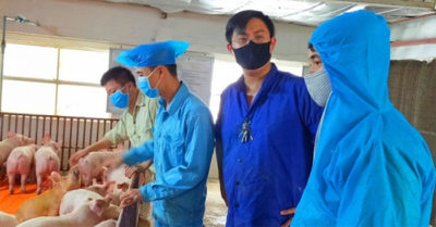 Thủ phạm vô hiệu hóa camera, trộm 61 con heo ở trang trại là người báo công an