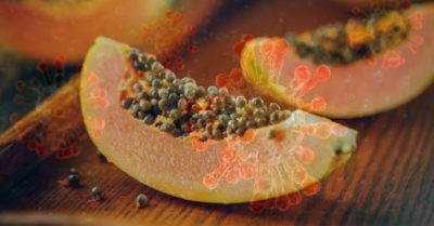 Cập nhật sáng 5/5: Bi hài đu đủ mắc Covid-19; Phát hiện thêm đường lây truyền mới đáng chú ý của virus corona