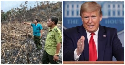 Cập nhật tối 16/5: Truy tìm đối tượng tàn phá hơn 3,5ha rừng; Ông Trump đồng ý nối lại tài trợ một phần cho WHO