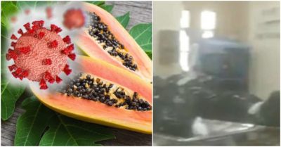 Cập nhật sáng 8/5: Kit xét nghiệm đu đủ nhiễm virus corona đến từ Quỹ Jack Ma; Bệnh nhân Covid-19 nằm cạnh xác chết