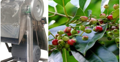 Tin Sức khỏe ngày 24/5:  Tóc cuốn vào dây curoa khi phụ mẹ xay nước đá; Uống nước vối hằng ngày tốt cho bệnh nhân mỡ máu, gout