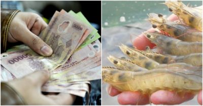 Cập nhật tối ngày 20/5: Thủ tướng đề nghị hoãn tăng lương; Ngăn virus cực nguy hiểm trên thủy sản từ Trung Quốc