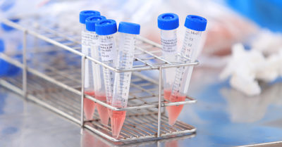 Việt Nam thử vắc xin Covid-19 trên chuột