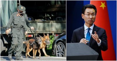 Cập nhật tối 5/6: Đề xuất bắn hạ phạm nhân trốn trên núi Hải Vân; Cảnh Sảng rời vị trí phát ngôn Bộ Ngoại giao Trung Quốc