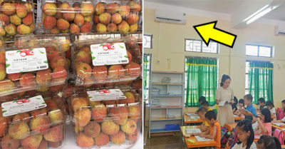 Cập nhật sáng 22/6: Quả vải Việt Nam ‘cháy hàng’ tại Nhật Bản; Trường tiểu học ở Hà Tĩnh 100% phòng lắp máy lạnh