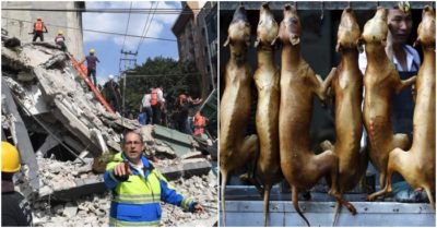 Cập nhật trưa 24/6: Động đất 7,4 độ Richter rung chuyển Mexico; Lễ hội thịt chó mở màn ở Trung Quốc bất chấp Covid-19