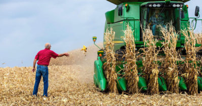 Điểm tin kinh tế: Trung Quốc ngưng mua nông sản Mỹ; Quốc hội Thái Lan phê duyệt gói kinh tế 58 tỷ USD