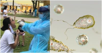 Cập nhật tối 6/7: Phát hiện 14 ca nghi mắc Covid-19 trong khu cách ly; Mỹ cảnh báo về loại amip ăn não người hiếm gặp