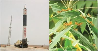 Cập nhật trưa 11/7: Bắc Kinh thử tên lửa, chưa đến đích đã nổ tung; Đại dịch châu chấu tấn công Trung Quốc