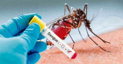 Hà Nội: Số ca sốt xuất huyết tăng nhanh, nguy cơ 3 ổ dịch