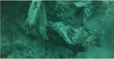 Hãi hùng sinh vật 101 triệu tuổi sống dậy, đòi ăn