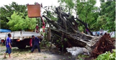 6 người thiệt mạng, hơn 100 người bị thương vì bão số 5