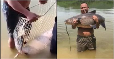 Video bắt cá trắm đen nặng 35kg  tại đập thủy lợi Nghệ An