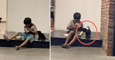 Bình Dương: Khoảnh khắc em bé ăn xin lem luốc chia sữa cho chú cún nhỏ lay động triệu trái tim