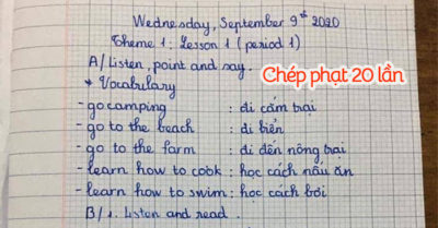 Ấm ức vì con phải chép phạt 20 lần, bà mẹ lên mạng kêu than, không ngờ kết quả hoàn toàn trái ngược