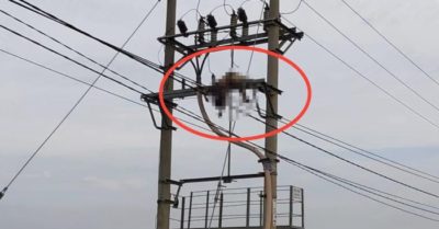 Dân thôn Đức Phong phát hiện người đàn ông bị treo trên cột điện, quần áo cháy xém