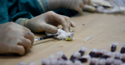 Cập nhật tối 21/9: Việt Nam đặt mua vaccine Covid-19 của 3 nước; Tước danh hiệu công an nhân dân một CSGT tỉnh Thanh Hóa