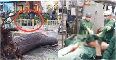 Người đàn ông bị cây dầu bật gốc đè trúng ở TP. HCM chấn thương rất nặng