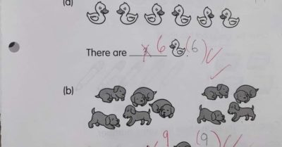 Giải toán đếm số vịt và chó, học sinh lớp 1 gây tranh luận