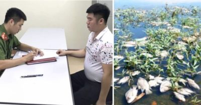 Tổng hợp tối 4/10: Người đánh bé gái 2 tuổi đã ra trình diện; Nước sông Cổ Cò đổi màu đen, cá chết hàng loạt