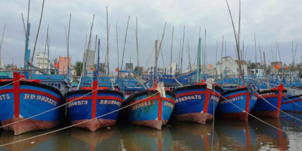 Tau thuyen neo dau tranh bao oa Binh Dinh