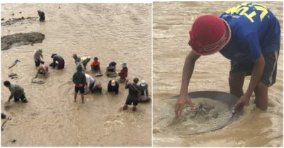 Clip: Bất chấp nguy hiểm, người lớn cùng trẻ em liều mình đãi vàng dưới hạ du thủy điện