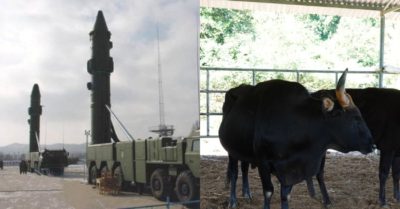 Tổng hợp trưa 14/11: Trung Quốc khoe bắn tên lửa trúng tàu ở biển Việt Nam; Thoát kiếp bò dự án, bò tót lai béo tốt