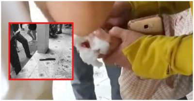 Cô giáo tiểu học dùng dao tấn công đồng nghiệp trong giờ hành chính