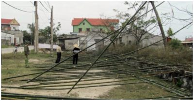 Ba người bị điện giật thương vong khi đang dựng cây nêu đón Tết