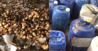 Ngâm hơn 1,3 tấn ốc bươu vào hóa chất rồi bán ra chợ và tiệm ăn