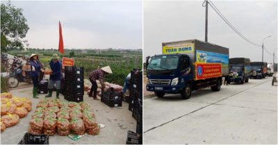 Hướng về Hải Dương: Hàng trăm tấn rau quả được giải cứu mỗi ngày