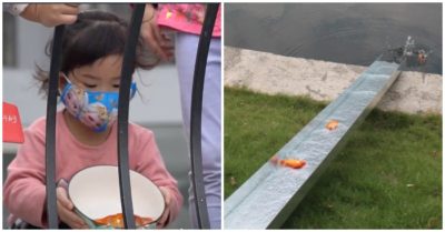 Video: Người Hà Nội cho cá chép ‘trượt cầu’ về trời trong ngày ông Công, ông Táo