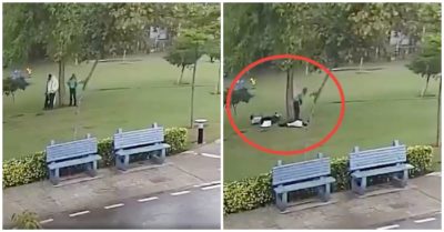 Video khoảnh khắc 4 người trú mưa dưới gốc cây bị sét đánh gục