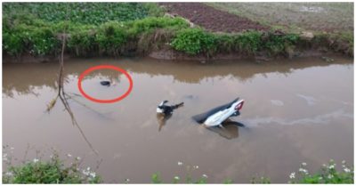 Hai thanh niên gặp nạn dưới mương nước sau khi đi viếng đồng đội cũ về