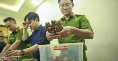 Lời khai của tiếp viên hàng không buôn lậu lượng xì gà ‘khủng’