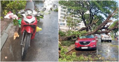 Mưa lớn, cây xanh bật gốc đè hai người ở trung tâm Sài Gòn