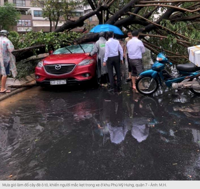 Mưa lớn, cây xanh bật gốc đè hai người ở trung tâm Sài Gòn 