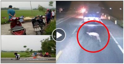 Video hơn 3 giờ sáng, tài xế phát hiện thi thể cụ ông gần 90 tuổi nằm giữa đường