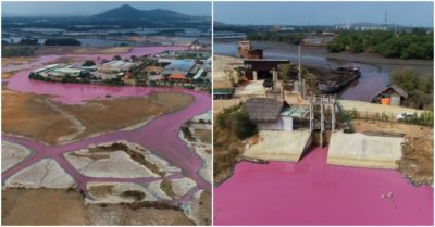Nước hồ ở Bà Rịa – Vũng Tàu bỗng chuyển màu hồng tím