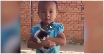 Video bé trai ôm mèo bị bỏ rơi ở bãi rác về xin bà nuôi vì ‘nó mồ côi giống con’