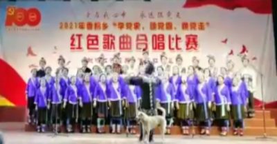 Video chó náo loạn buổi biểu diễn văn nghệ mừng ĐCSTQ tròn 100 tuổi