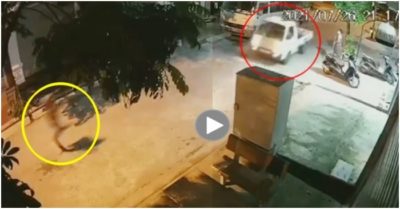 Video: Chạy như ‘ma đuổi’ khi thấy lực lượng chức năng