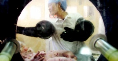 Cập nhật tối 6/7: Việt Nam ghi nhận 1.029 ca trong 24H; Trung Quốc sản xuất lợn biến đổi gen để cấy ghép cho người