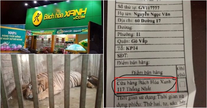 Người dân nhận chỉ định mua hàng Bách hóa Xanh; Chuồng nuôi nhốt hổ ở xã Đô Thành (ảnh chụp màn hình VTC).