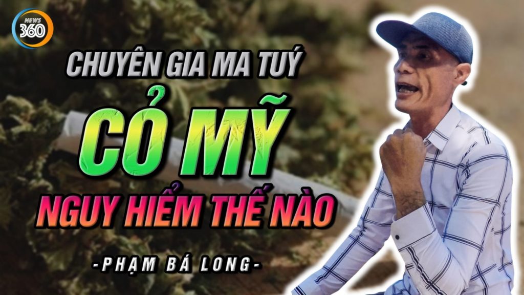 như cần sa có chứa chất XLR-11 gây ảo giác mạnh "lên đỉnh" và kéo dài thời gian "phê" có độc tính