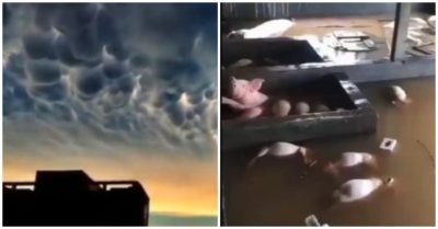 Video: Gió quỷ, mây đen vần vũ ‘nuốt chửng’ Hà Bắc; lợn chết trôi nổi ở Hà Nam, Trung Quốc